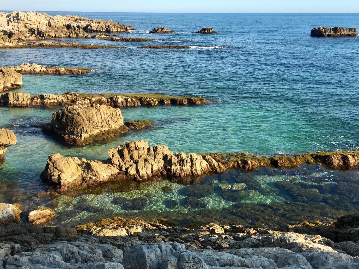 Artistic Antibes Apartment Kültér fotó